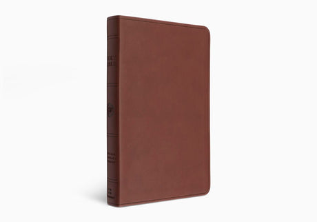 ESV Large Print Value Thinline Bible (TruTone, Chestnut) (1023787499567)