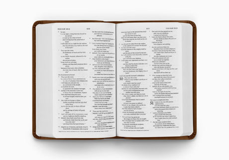 ESV Value Compact Bible (TruTone, Brown) (1023776391215)