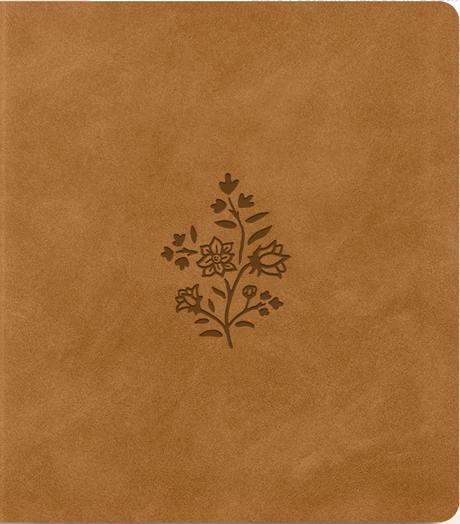 ESV Journaling Study Bible (Trutone Over Board, Nubuck Caramel) - ESV - 9781433592515