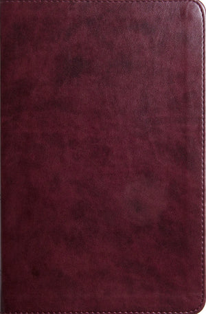 ESV Large Print Thinline Bible (Trutone, Mahogany) - English Standard - 9781433575891