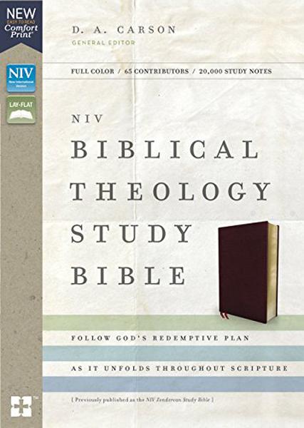 NIV, Biblical Theology Study Bible (Bonded Leather, Burgundy, Comfort Print) cover image