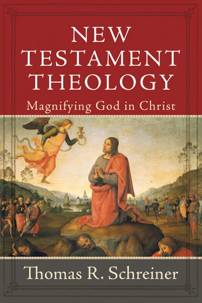 New Testament Theology: Magnifying God in Christ Schreiner, Thomas R. cover image