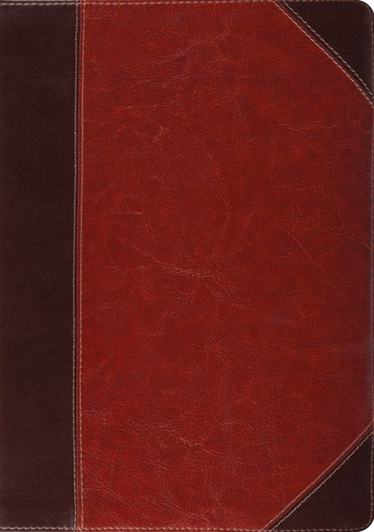 ESV Study Bible (TruTone, Brown/Cordovan, Portfolio Design) cover image (1023656886319)