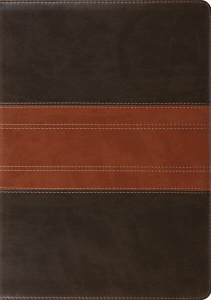 ESV Study Bible (TruTone, Forest/Tan, Trail Design) cover image (1023687557167)