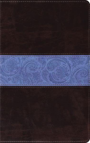 ESV Thinline Bible (TruTone, Chocolate/Blue, Paisley Band) cover image