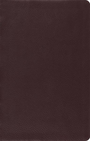leather book cover texture, Max Crawford
