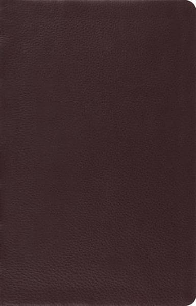 ESV Large Print Thinline Reference Bible (Top Grain Leather, Brown) cover image