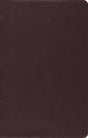 ESV Large Print Thinline Reference Bible (Top Grain Leather, Brown) cover image