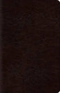 ESV Reference Bible (TruTone, Coffee) cover image (1023774818351)