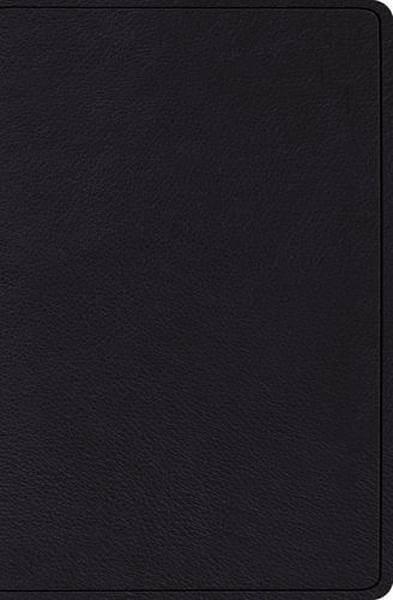 ESV Verse-by-Verse Reference Bible (Top Grain Leather, Black) cover image