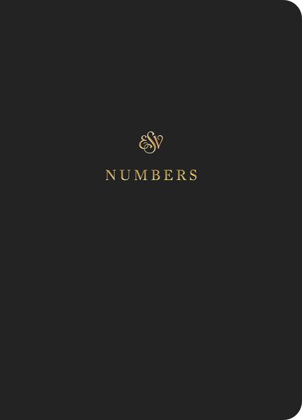 ESV Scripture Journal: Numbers cover image