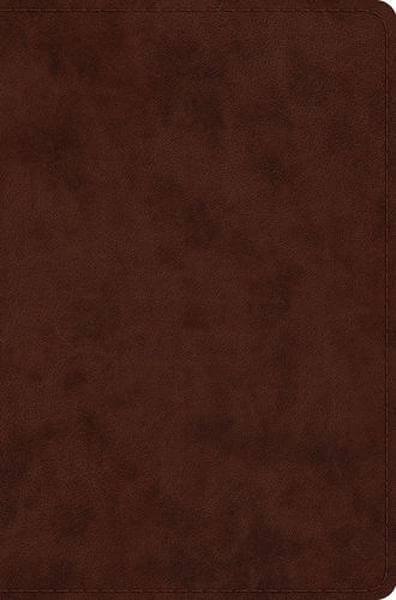 ESV Compact Bible (TruTone, Brown) cover image