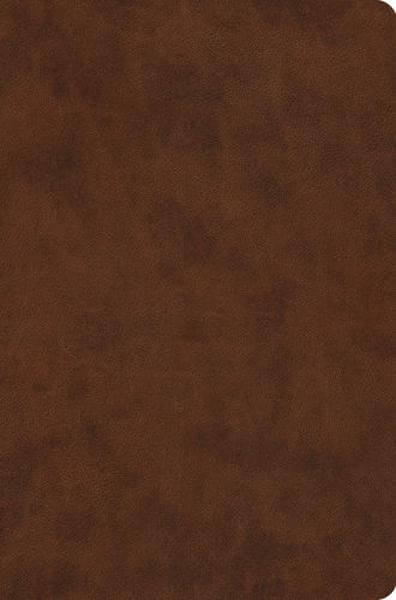 ESV Value Compact Bible (TruTone, Brown) cover image (1023776391215)