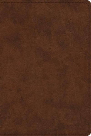 ESV Study Bible, Personal Size (TruTone, Brown) cover image (1023775768623)