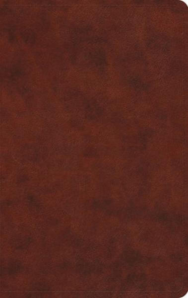 ESV Large Print Value Thinline Bible (TruTone, Chestnut) cover image (1023787499567)