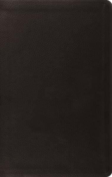 ESV Value Thinline Bible (TruTone, Black) cover image (1023778324527)