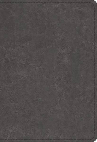 ESV Student Study Bible (TruTone, Gray) cover image