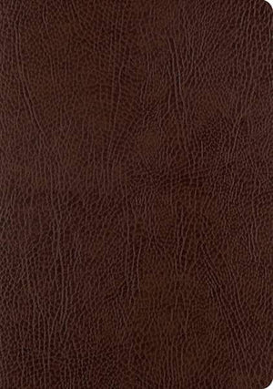 ESV Single Column Journaling Bible, Large Print (Bonded Leather, Mocha) cover image (1023790317615)