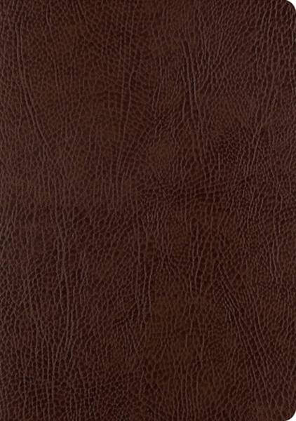 ESV Single Column Journaling Bible, Large Print (Bonded Leather, Mocha) cover image (1023790317615)