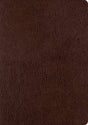 ESV Single Column Journaling Bible, Large Print (Bonded Leather, Mocha) cover image (1023790317615)