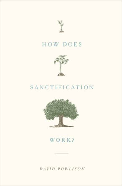 How Does Sanctification Work? By David Powlison cover image (1023748341807)