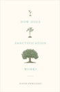 How Does Sanctification Work? By David Powlison cover image (1023748341807)