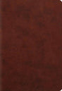 ESV Student Study Bible (TruTone, Chestnut) cover image