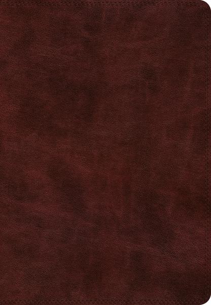 ESV Super Giant Print Bible (TruTone, Burgundy) cover image