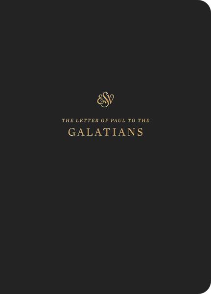 ESV Scripture Journal: Galatians (Paperback) cover image (1018286276655)