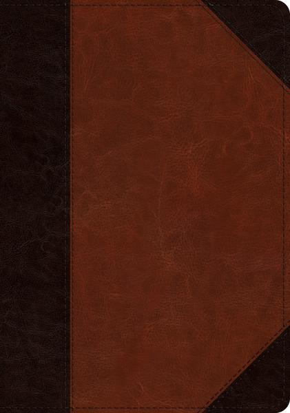 ESV Large Print Wide Margin Bible (TruTone, Brown/Cordovan, Portfolio Design) cover image