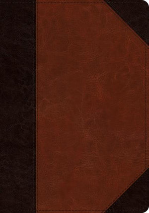 ESV Large Print Wide Margin Bible (TruTone, Brown/Cordovan, Portfolio Design) cover image