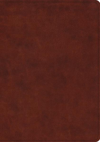 ESV Study Bible (TruTone, Chestnut) cover image