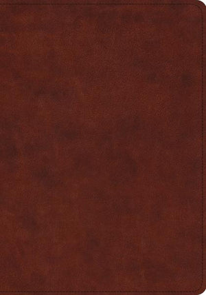 ESV Study Bible (TruTone, Chestnut) cover image