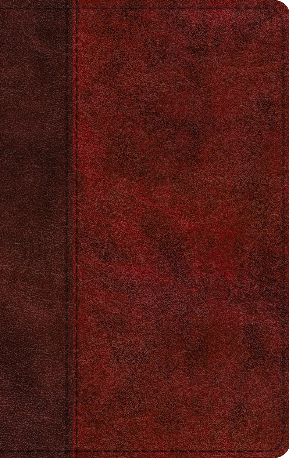 ESV Large Print Thinline Bible (Trutone, Burgundy/Red, Timeless Design)