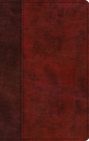 ESV Large Print Thinline Bible (Trutone, Burgundy/Red, Timeless Design)