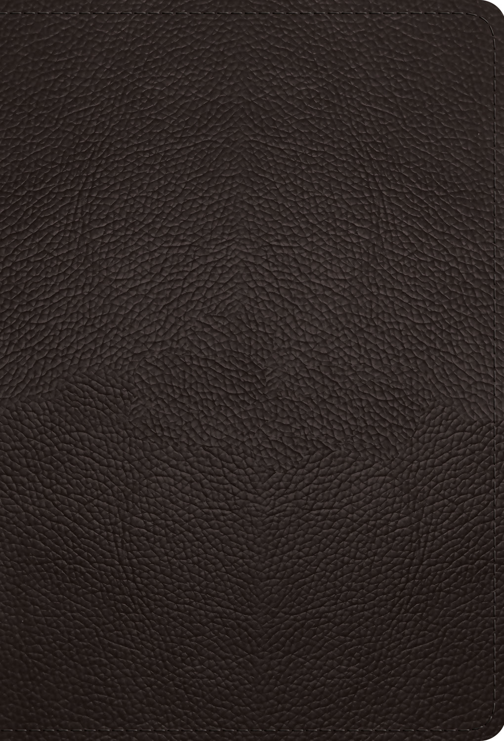 ESV Large Print Compact Bible (Buffalo Leather, Deep Brown)