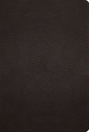 ESV Large Print Compact Bible (Buffalo Leather, Deep Brown)