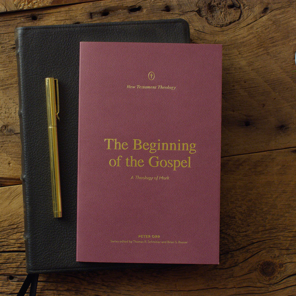 The Beginning of the Gospel: A Theology of Mark (New Testament Theology)