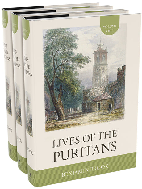 The Lives of the Puritans, 3 Volumes (Puritanism) - Brook, Benjamin - 9781877611797