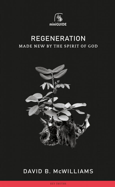 Regeneration: Made New by the Spirit of God (Mini Guides) - McWilliams, David B - 9781848719712