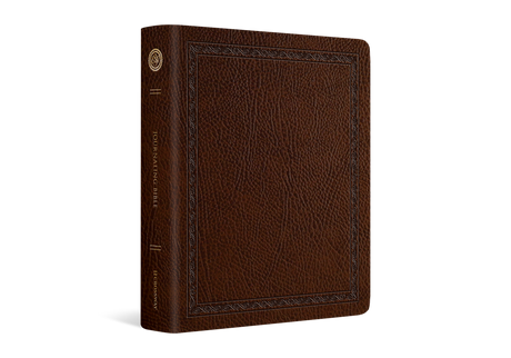 ESV Journaling Bible (Bonded Leather, Mocha, Threshold Design) (1023770263599)