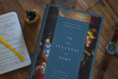 In the Fullness of Time: An Introduction to the Biblical Theology of Acts and Paul