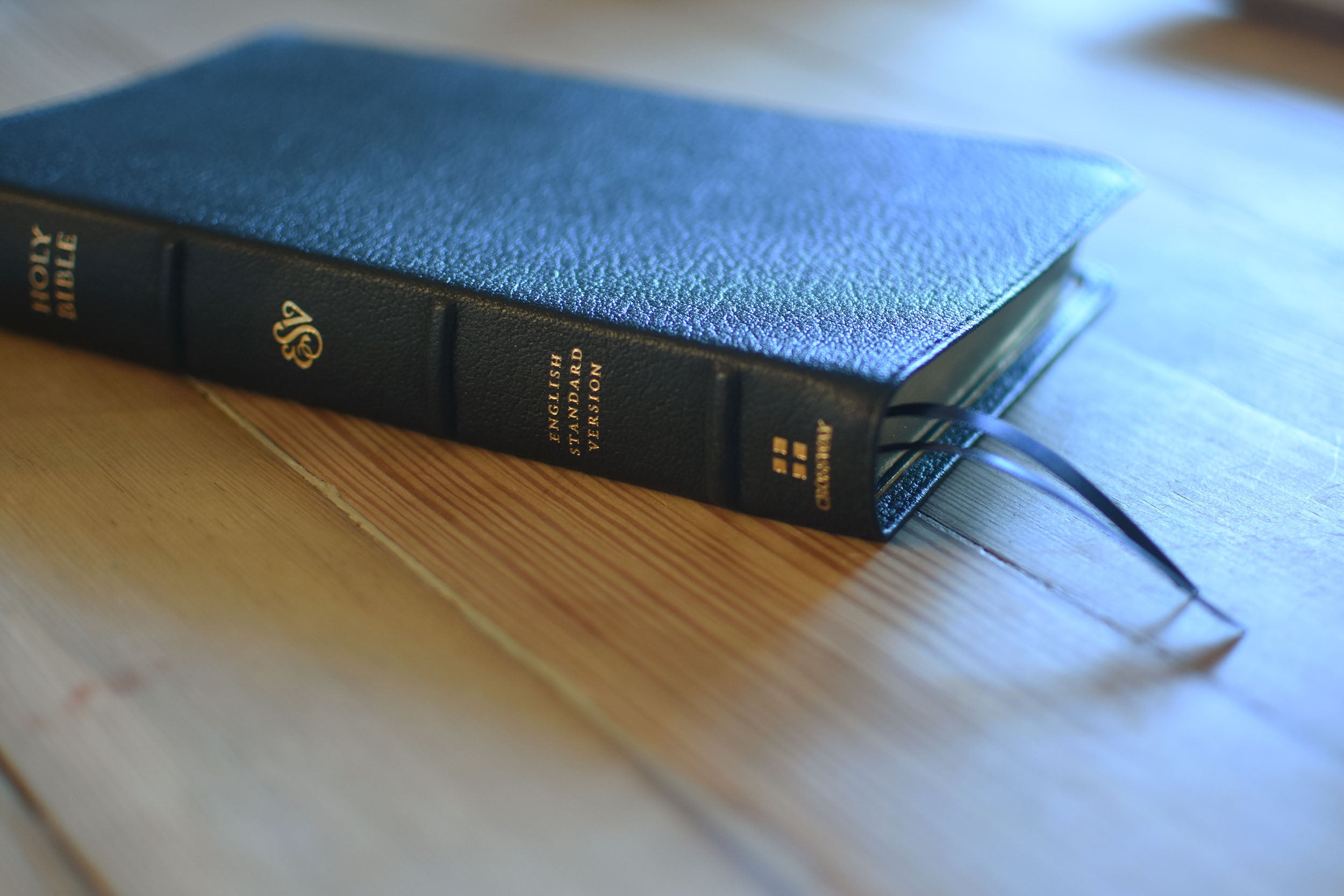 The Birkin Bible — THE EDGE