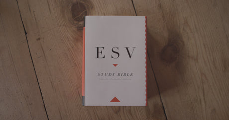 ESV Study Bible (Hardcover) (1023686213679)