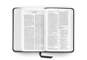 ESV Pocket Bible (Trutone, Black)