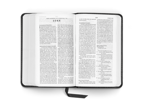 ESV Pocket Bible (Trutone, Black)