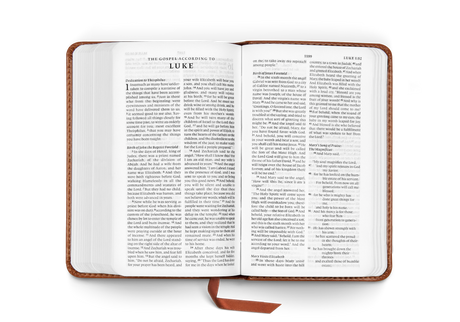 ESV Pocket Bible (Trutone, Chestnut)