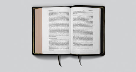 ESV Preaching Bible (Goatskin, Black)