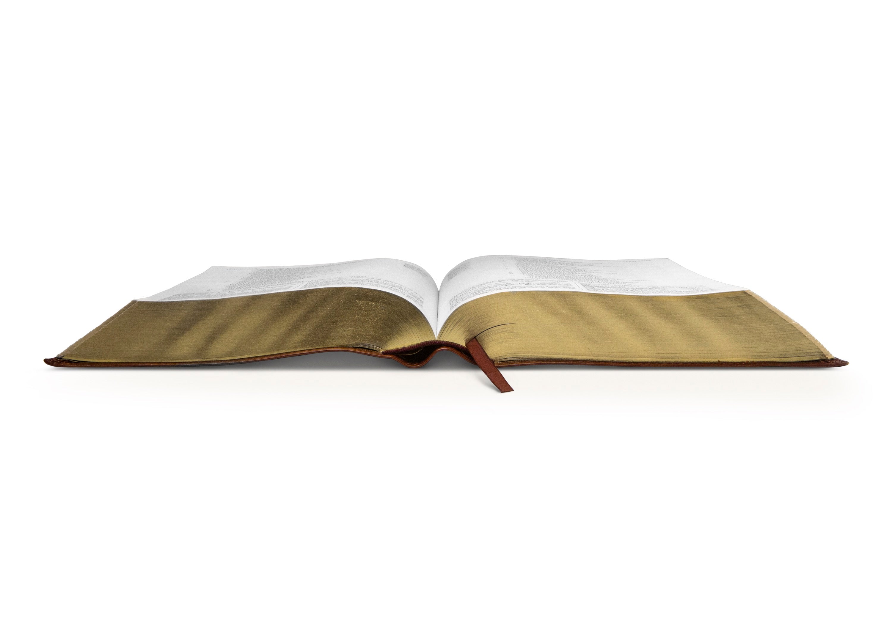 File:Open Bible with pen (4543060842).jpg - Wikimedia Commons