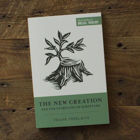 The New Creation and the Storyline of Scripture (Short Studies in Biblical Theology)